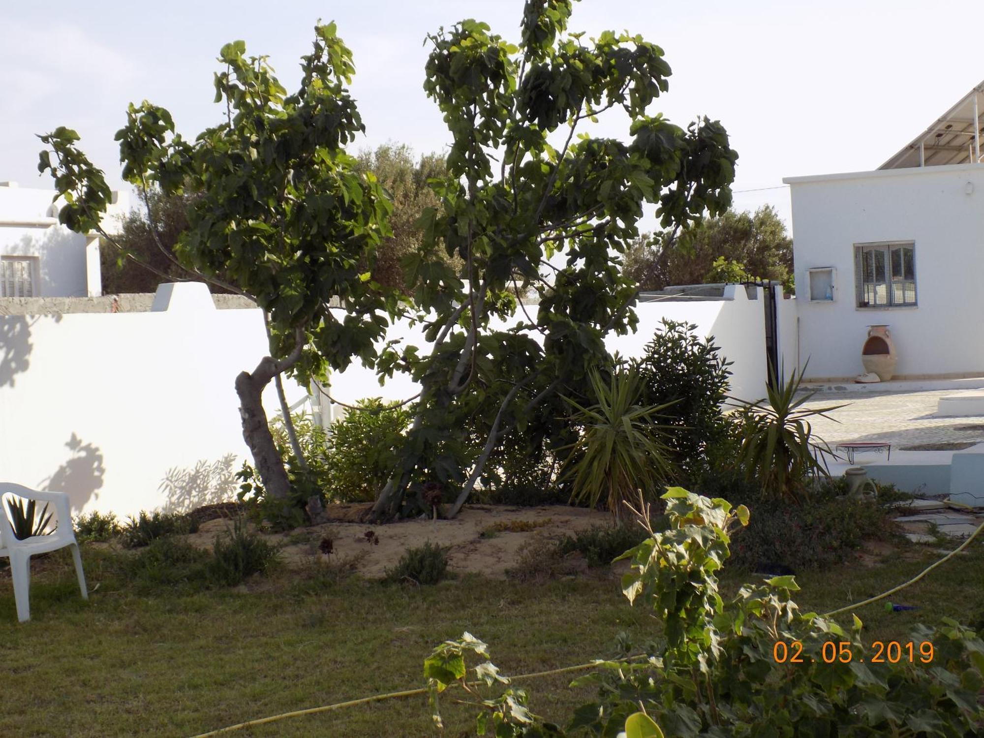 Bed and Breakfast Dar Mamina Sidi ash Shammakh Экстерьер фото