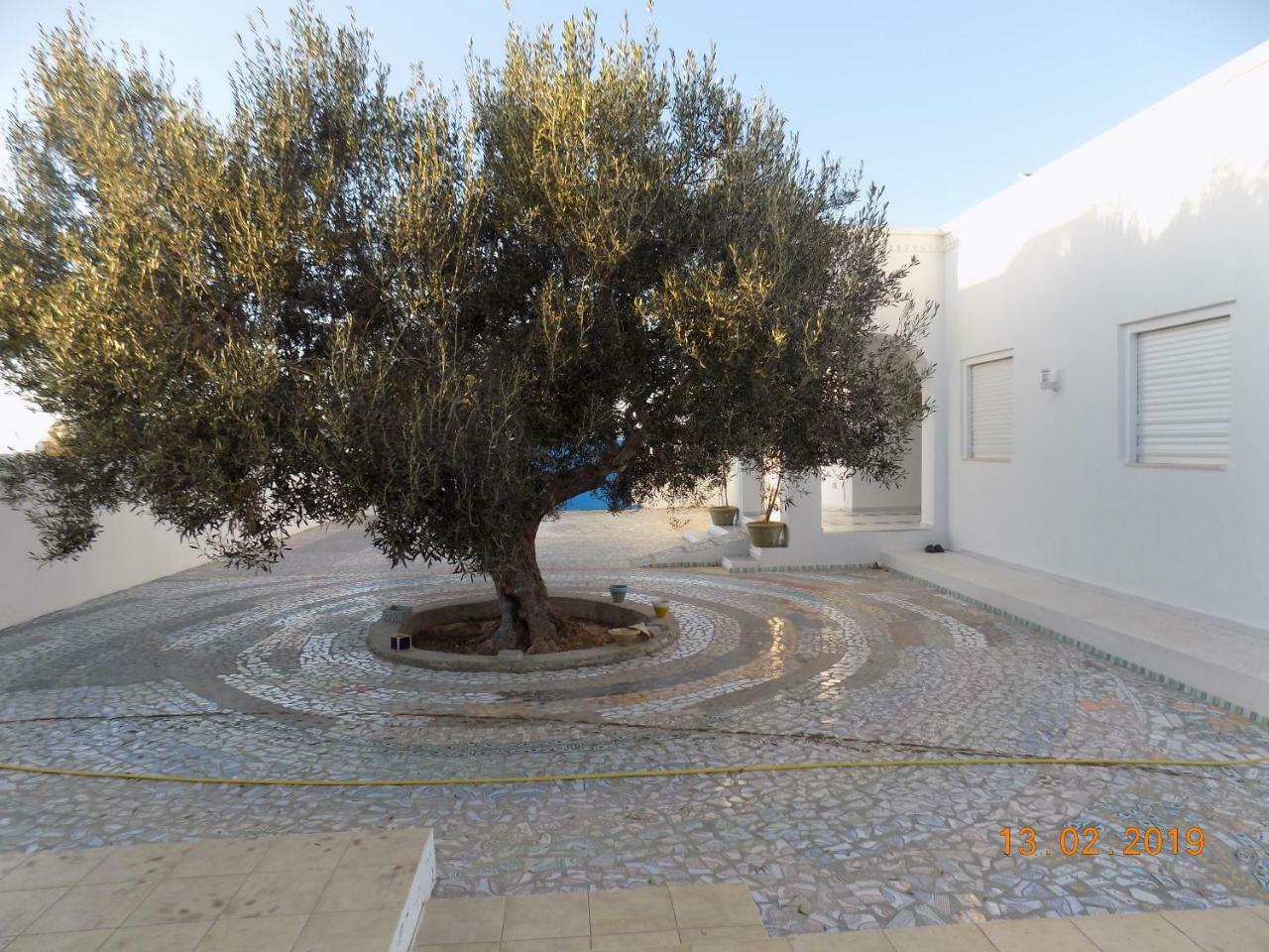 Bed and Breakfast Dar Mamina Sidi ash Shammakh Экстерьер фото